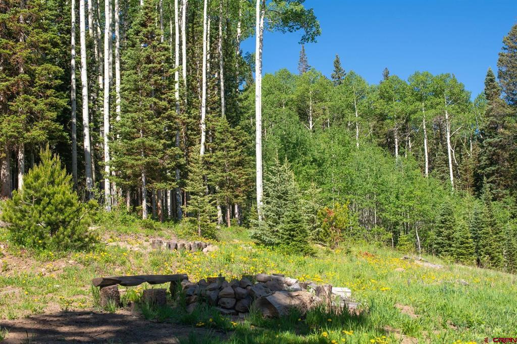 141 White Buffalo Trail