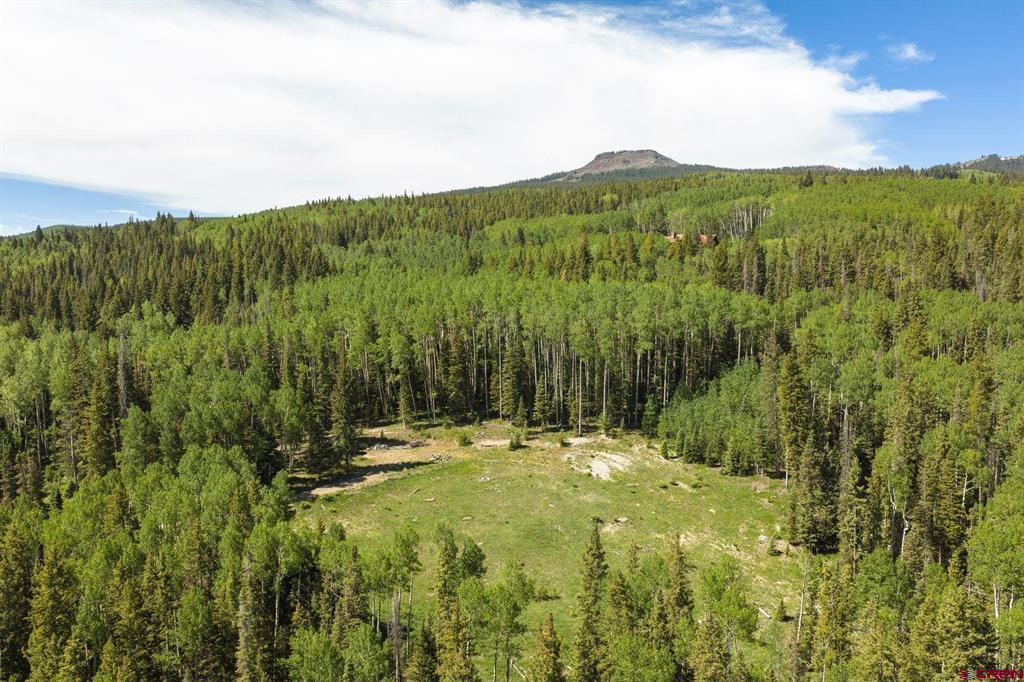 141 White Buffalo Trail