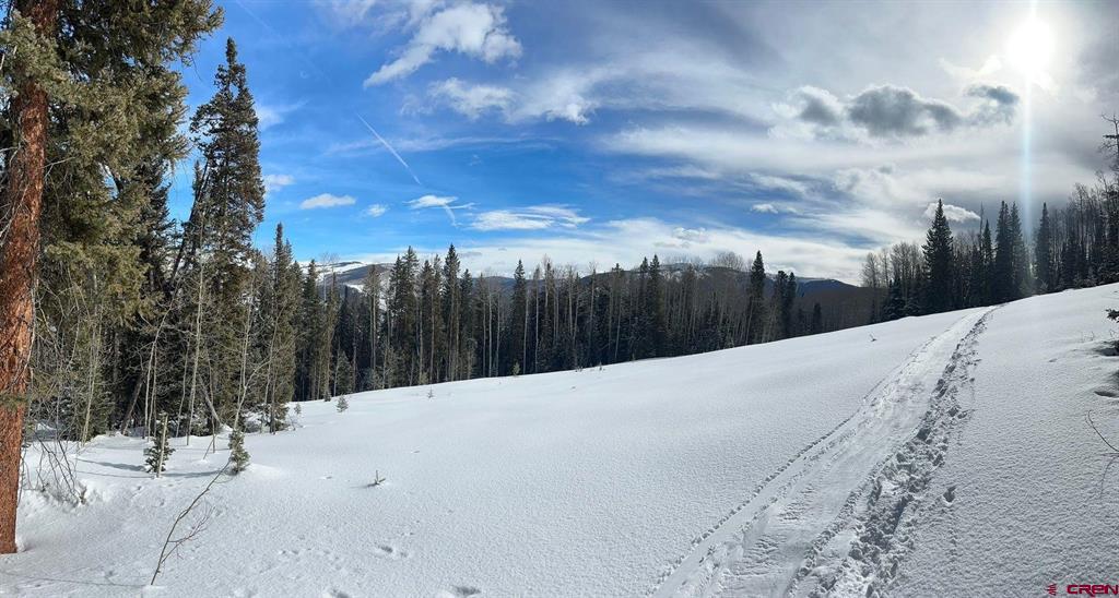 141 White Buffalo Trail