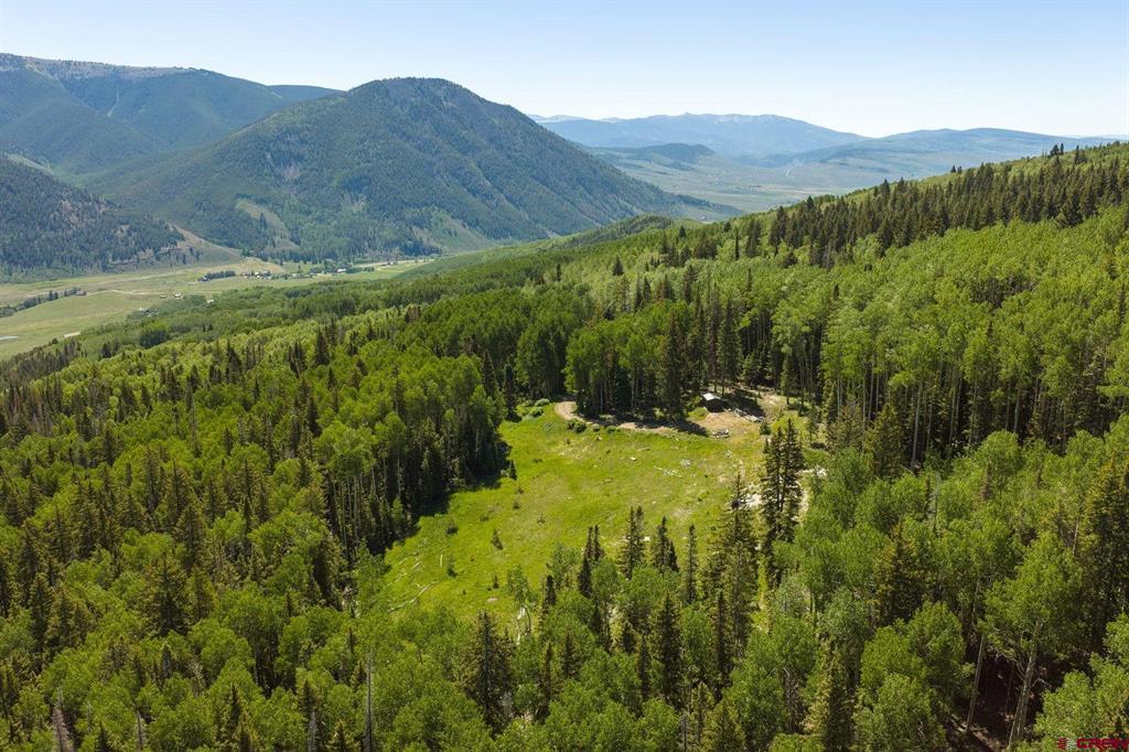 141 White Buffalo Trail