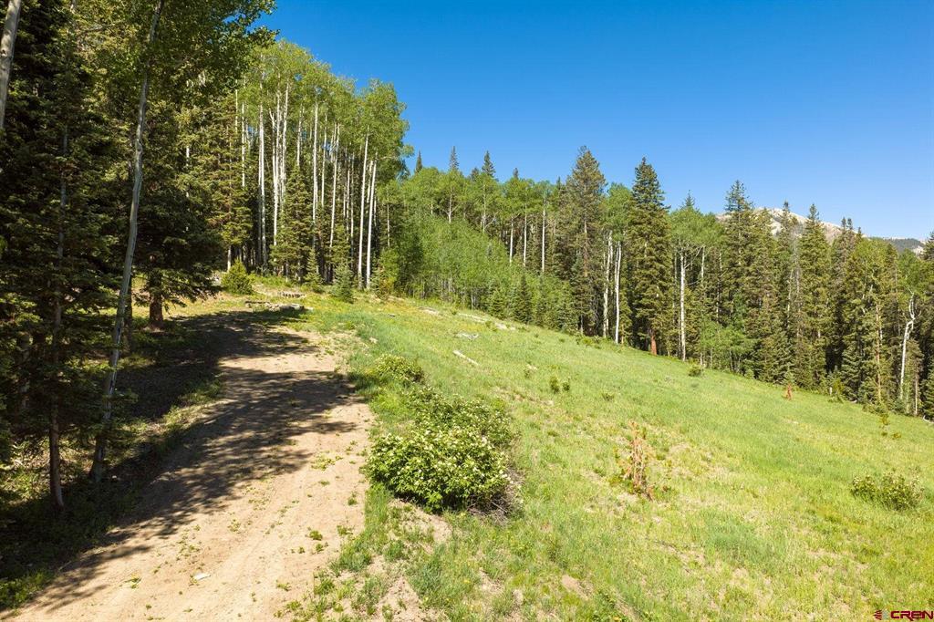 141 White Buffalo Trail