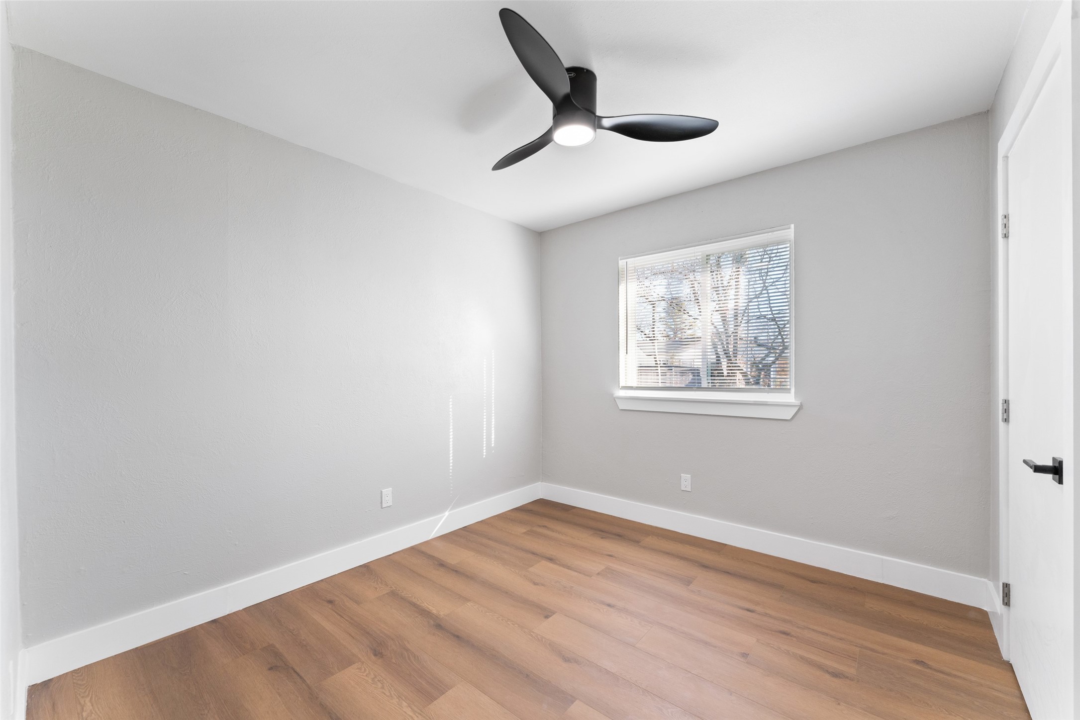 1434 Caladium Drive