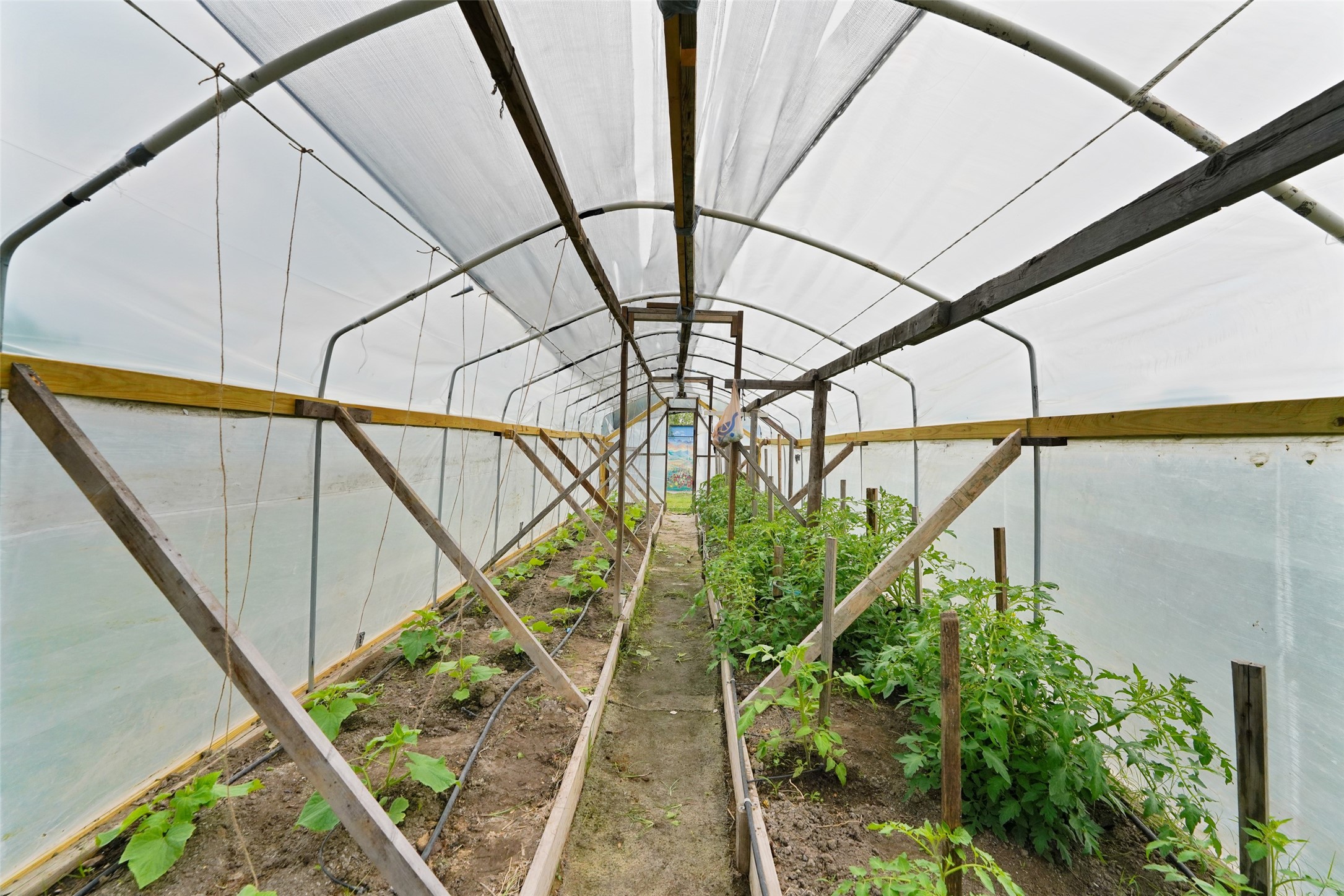 1414 Rs County Road 1605