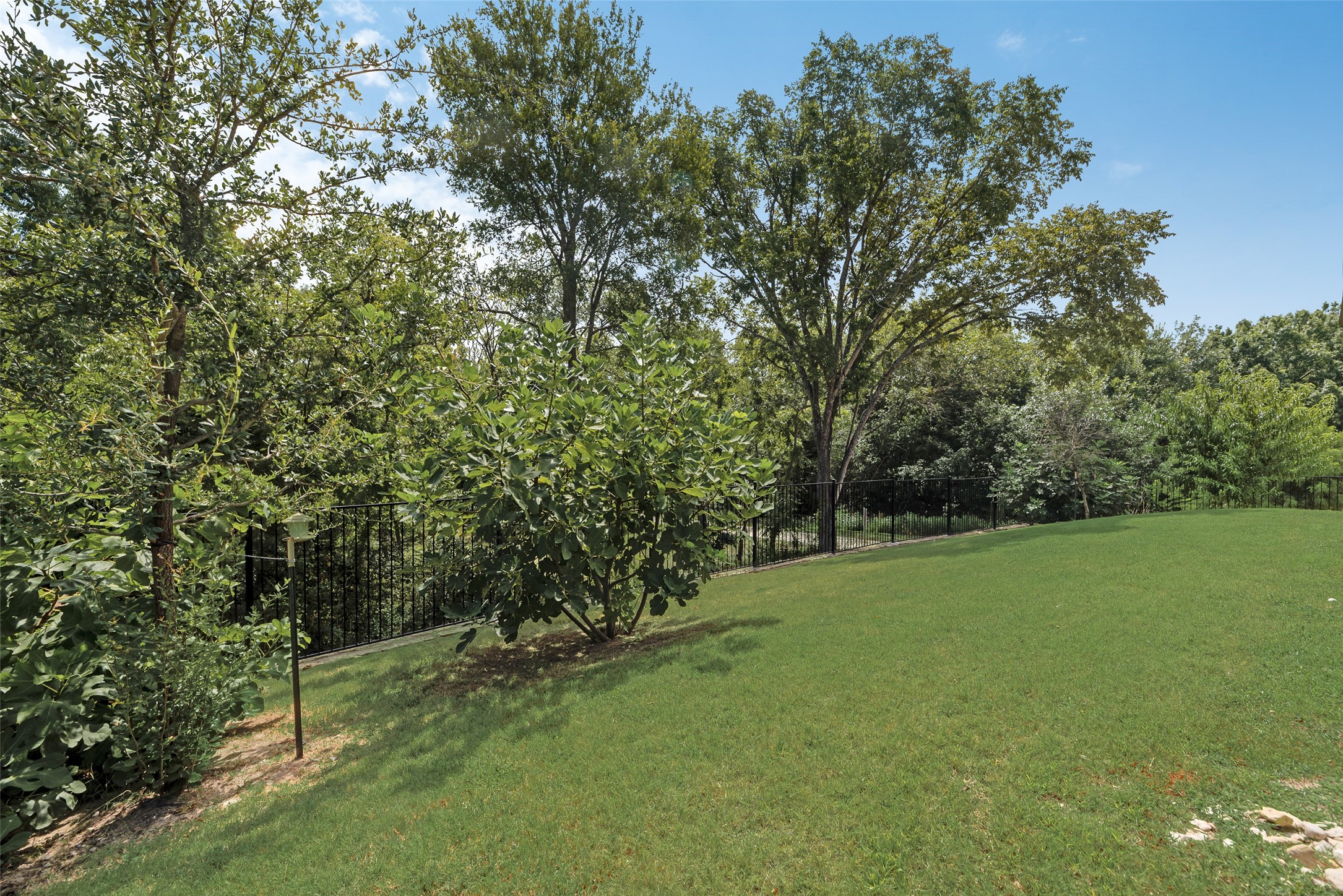 558 Torrey Pines Circle
