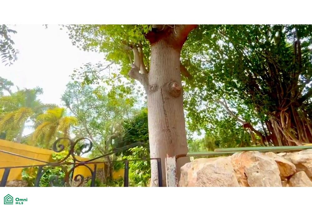 72 , Centro, Mérida, Yucatán