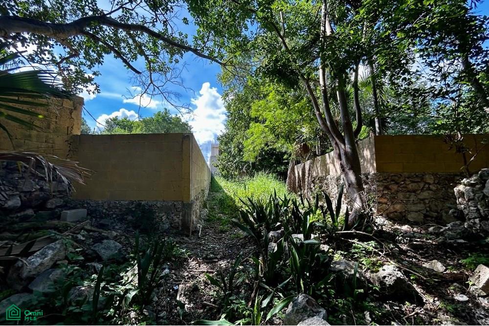 Calle 70 503A, Mérida Centro, Mérida, Yucatán