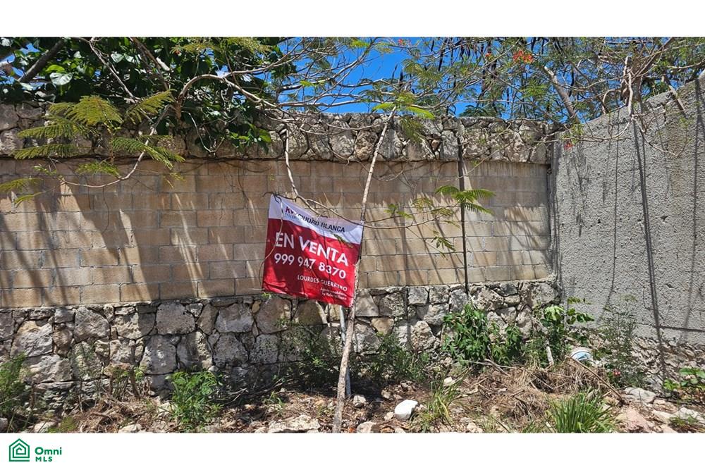 Calle 22 0, Tamanché, Mérida, Yucatán