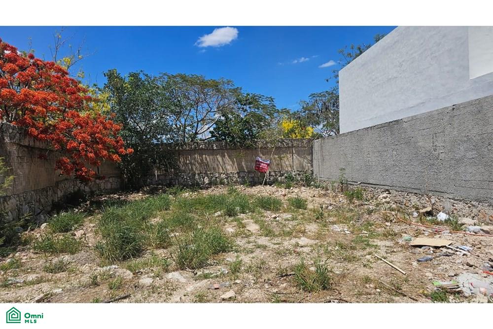Calle 22 0, Tamanché, Mérida, Yucatán