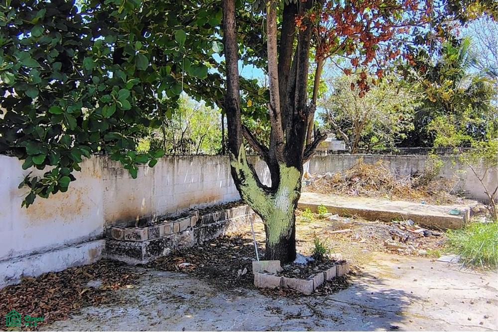 Calle 26 413, El Roble, Mérida, Yucatán