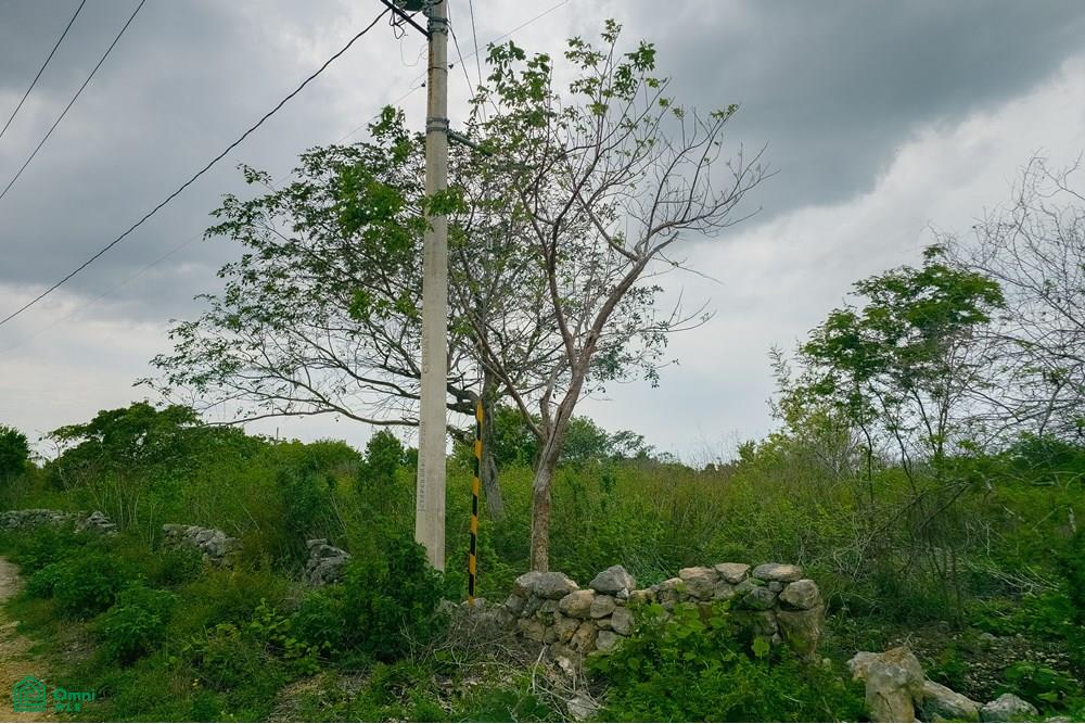Calle 32A 0, Centro Hunucmá, Hunucmá, Yucatán