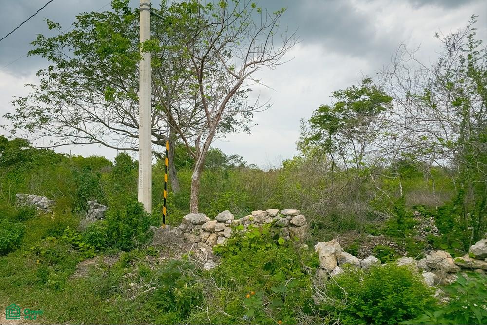 Calle 32A 0, Centro Hunucmá, Hunucmá, Yucatán
