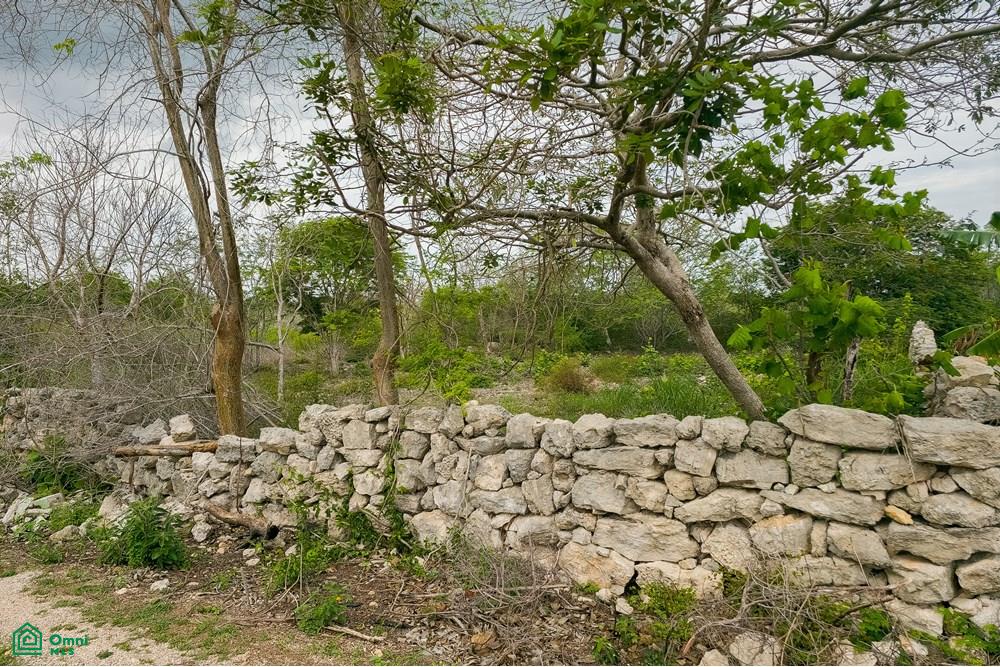 Calle 32A 0, Centro Hunucmá, Hunucmá, Yucatán