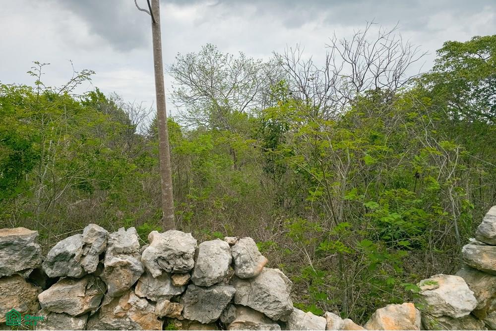 Calle 32A 0, Centro Hunucmá, Hunucmá, Yucatán