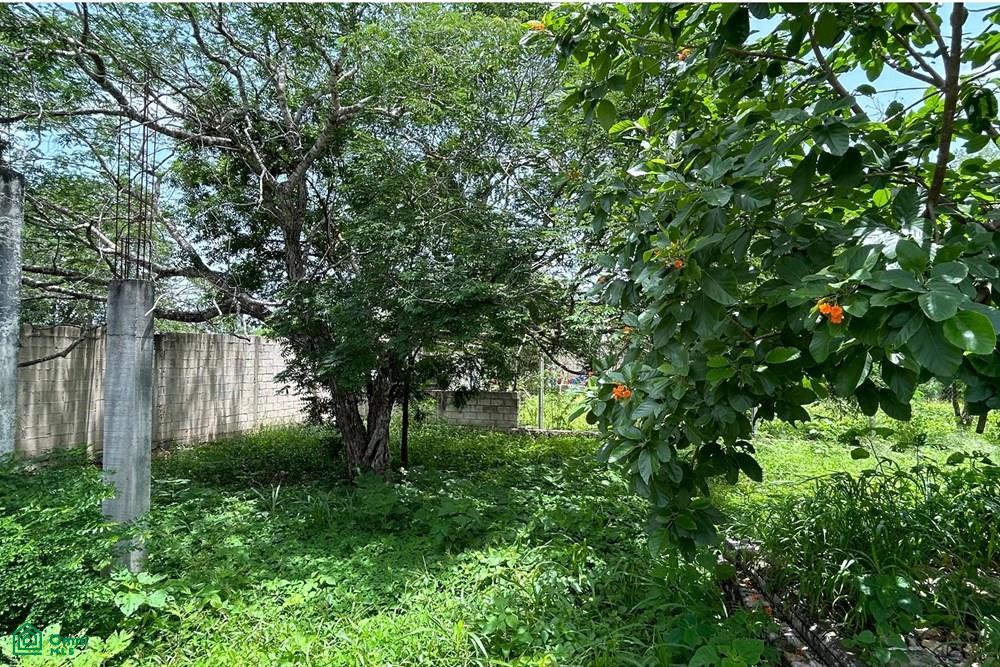 Calle 40 143, Cholul, Mérida, Yucatán
