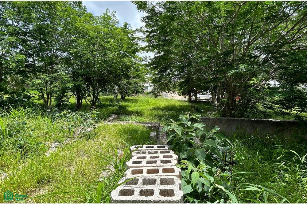Calle 40 143, Cholul, Mérida, Yucatán