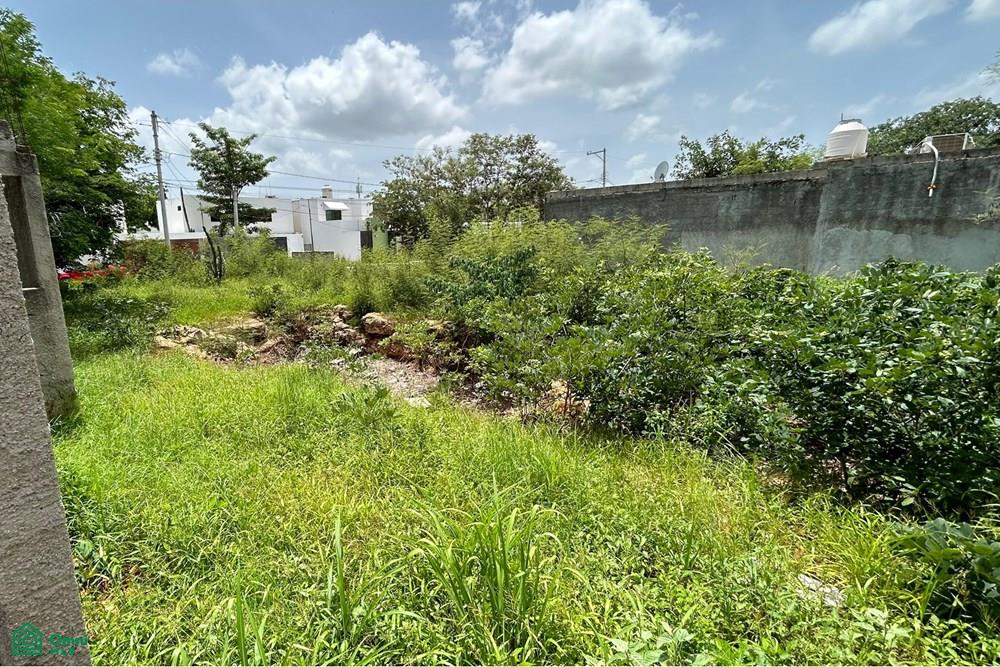 Calle 40 143, Cholul, Mérida, Yucatán