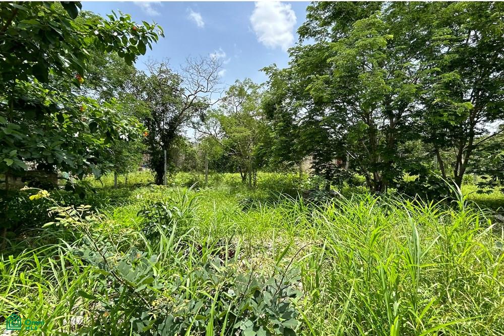 Calle 40 143, Cholul, Mérida, Yucatán
