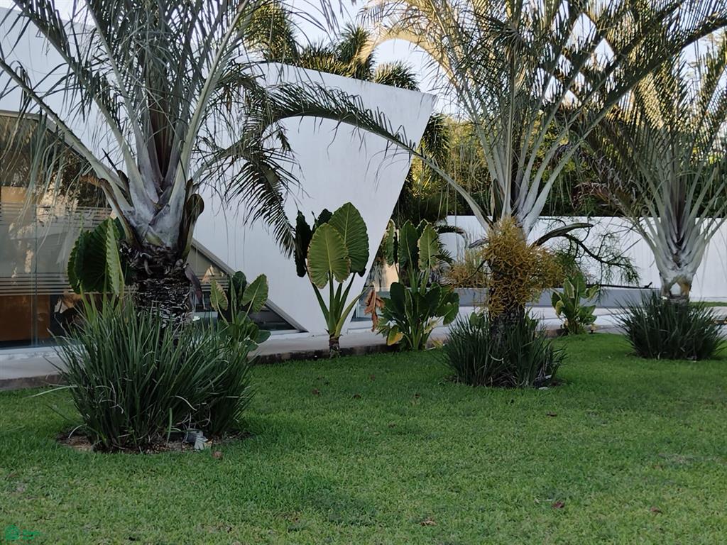 Calle 21 0, Kikteil, Mérida, Yucatán