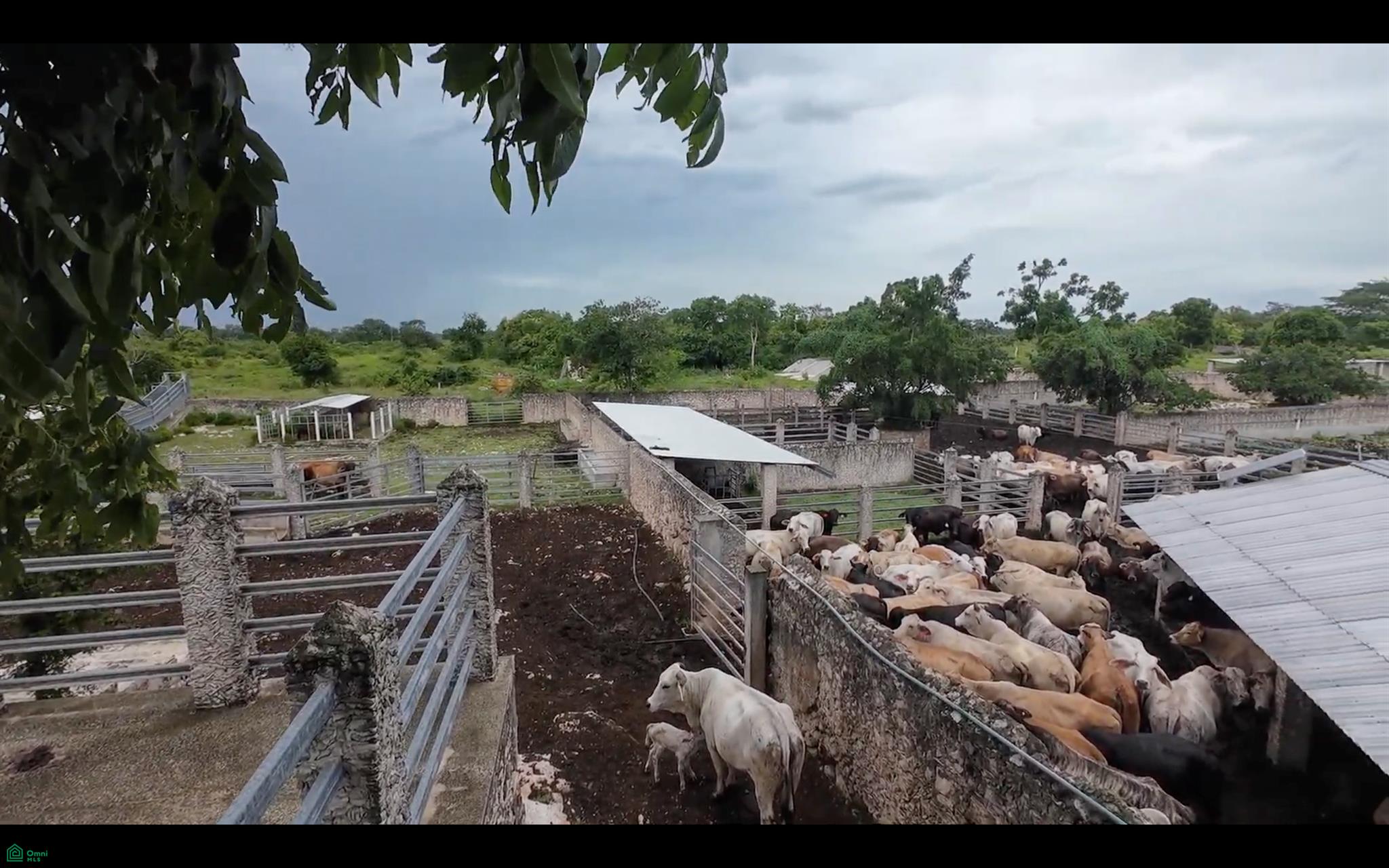 0, , Tunkás, Yucatán