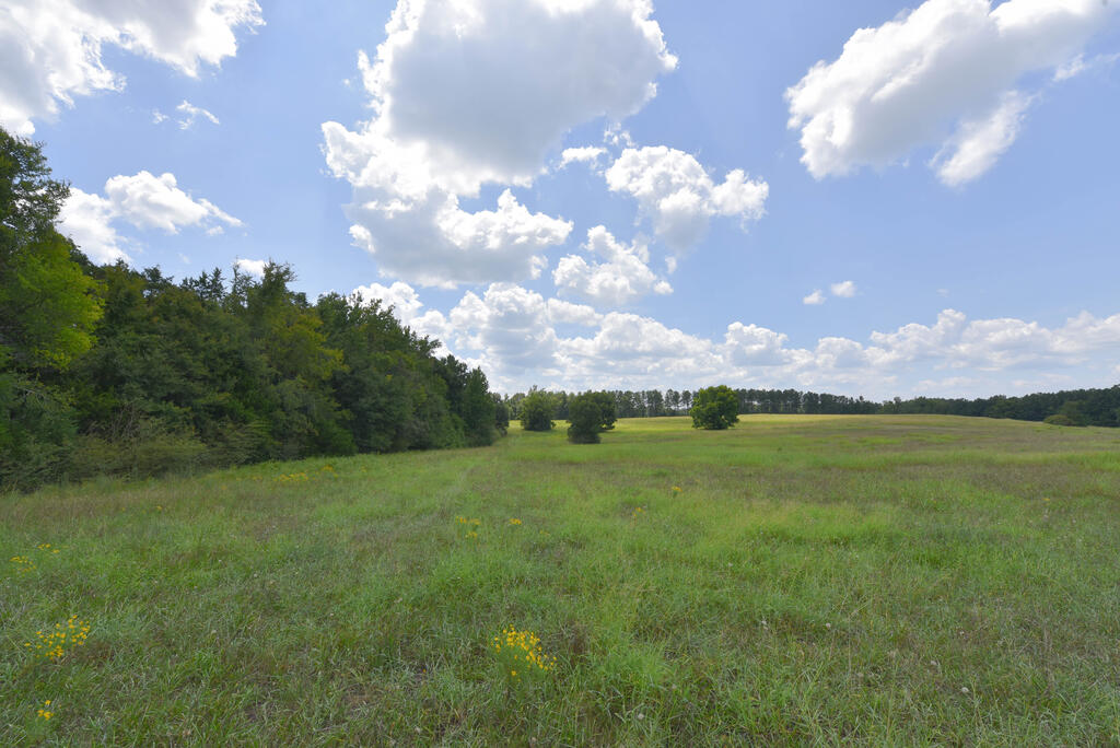 440 Mt Carmel Road
