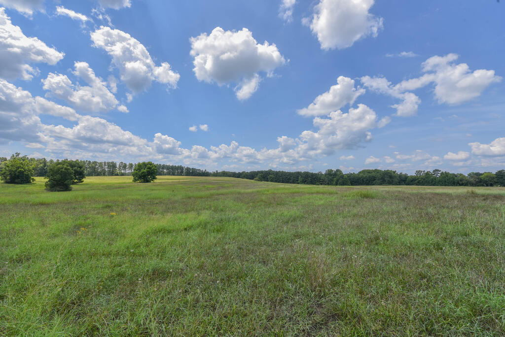 440 Mt Carmel Road