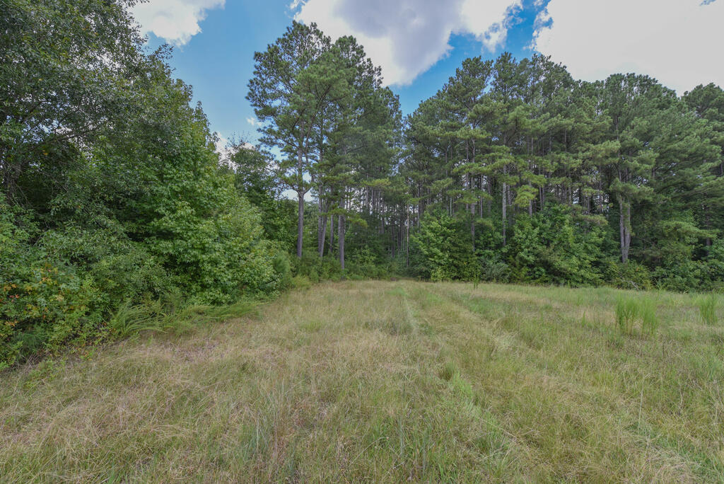 440 Mt Carmel Road
