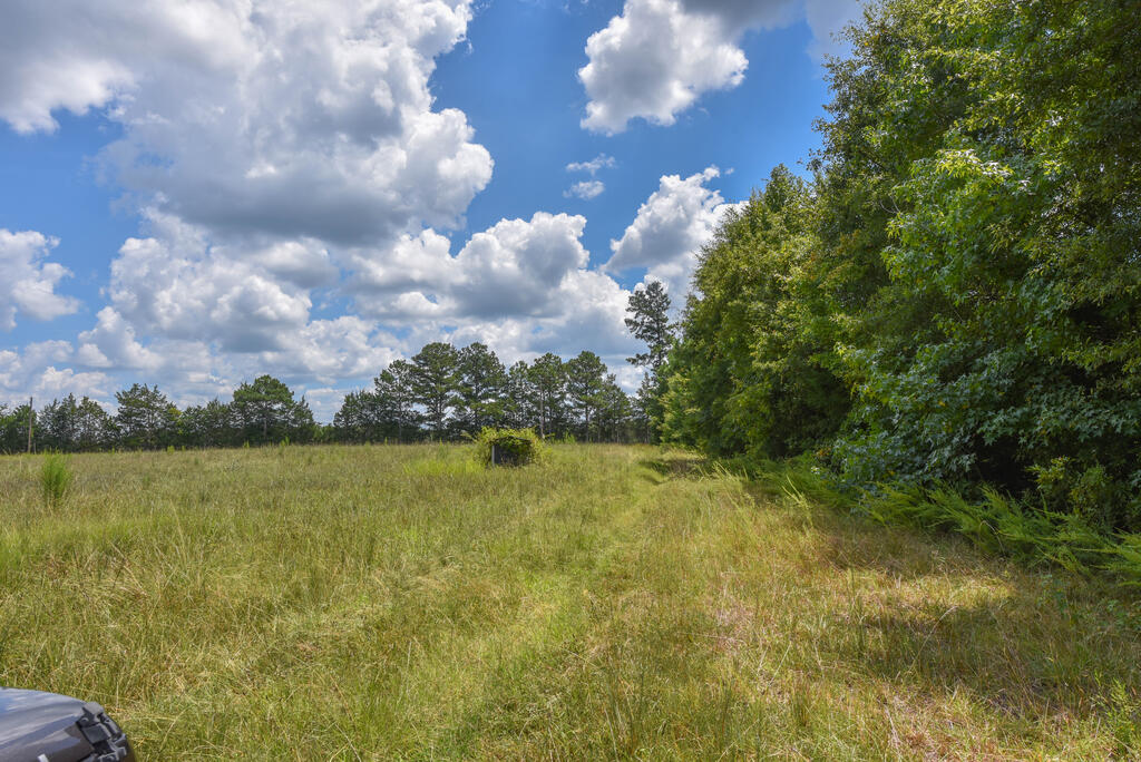 440 Mt Carmel Road
