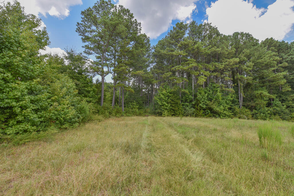 440 Mt Carmel Road