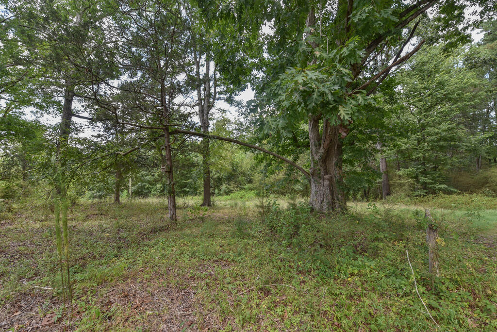 440 Mt Carmel Road