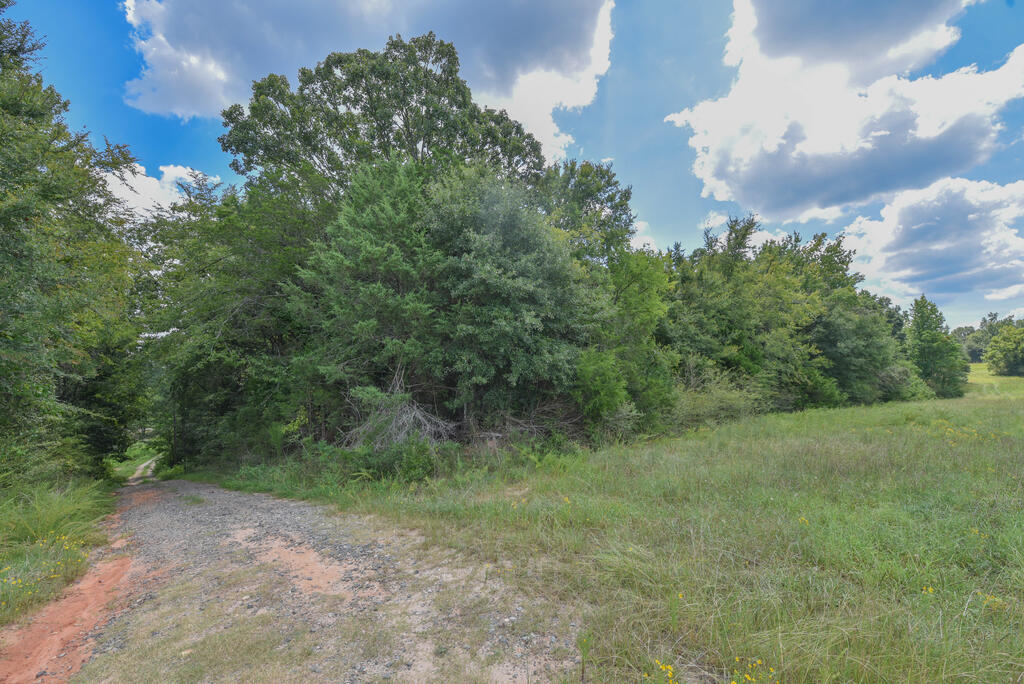 440 Mt Carmel Road