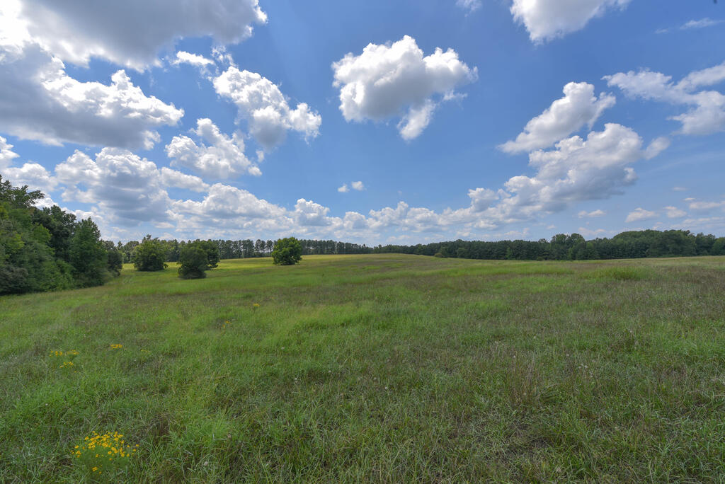 440 Mt Carmel Road