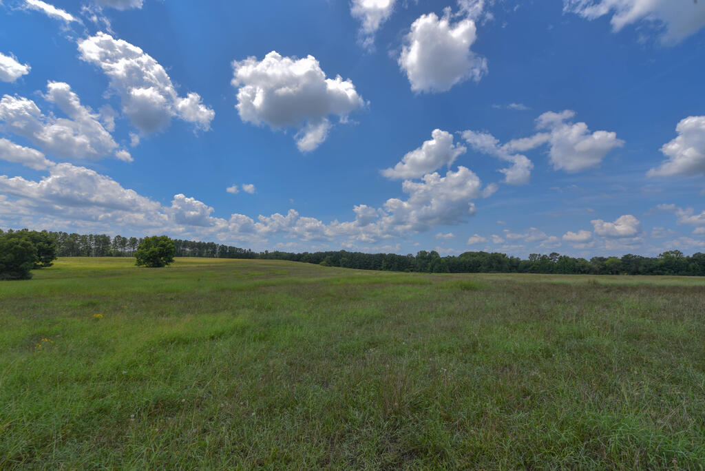 440 Mt Carmel Road