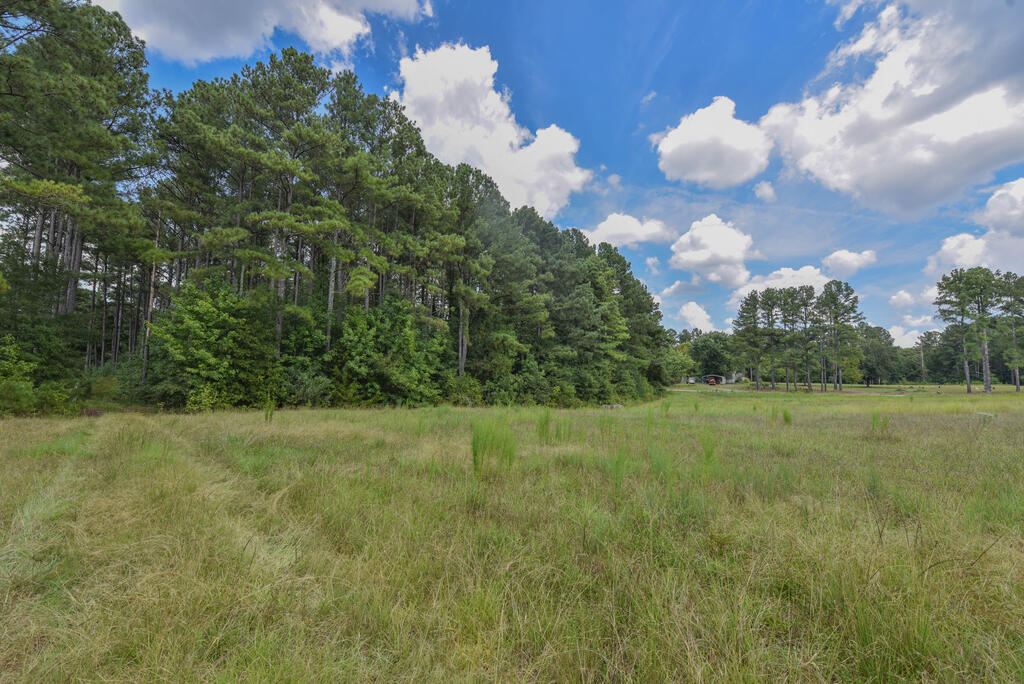 440 Mt Carmel Road