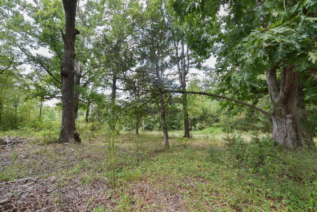440 Mt Carmel Road
