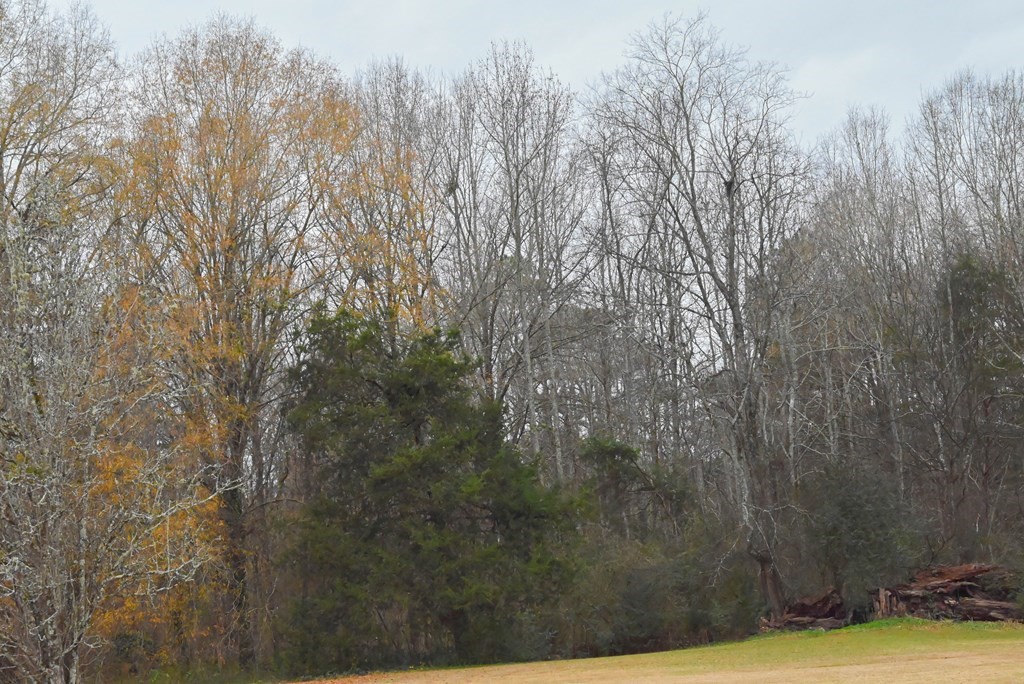 00 W Deadfall Road