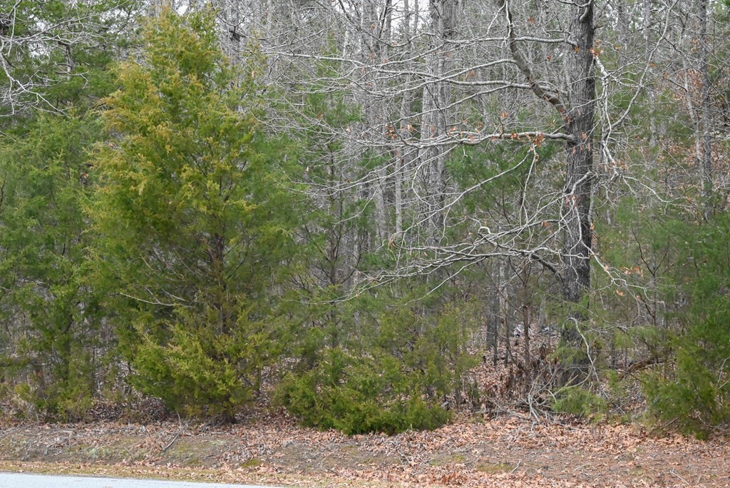 00 W Deadfall Road