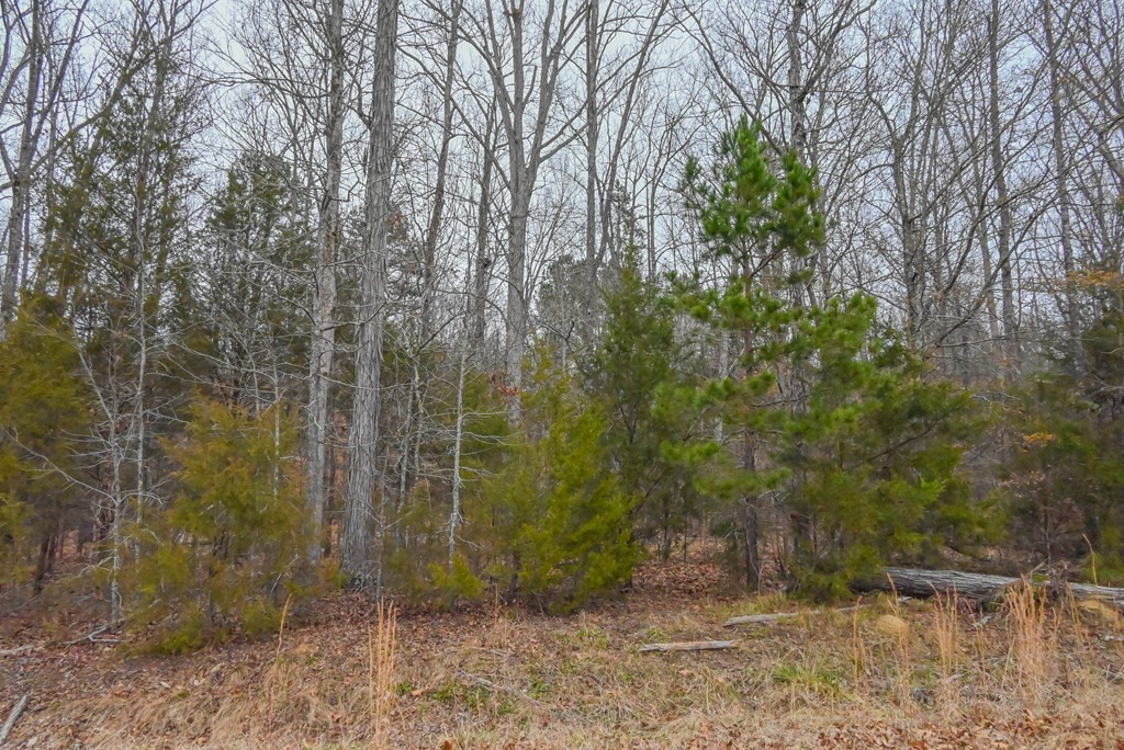 00 W Deadfall Road