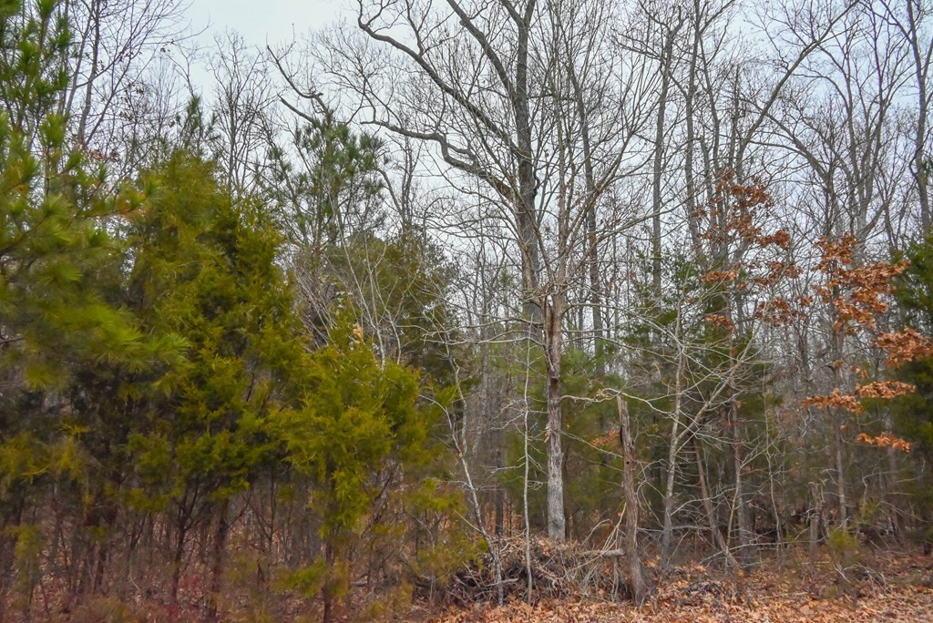 00 W Deadfall Road