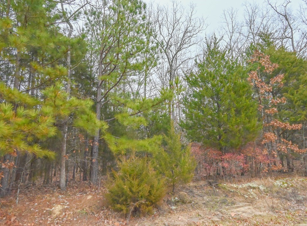 00 W Deadfall Road