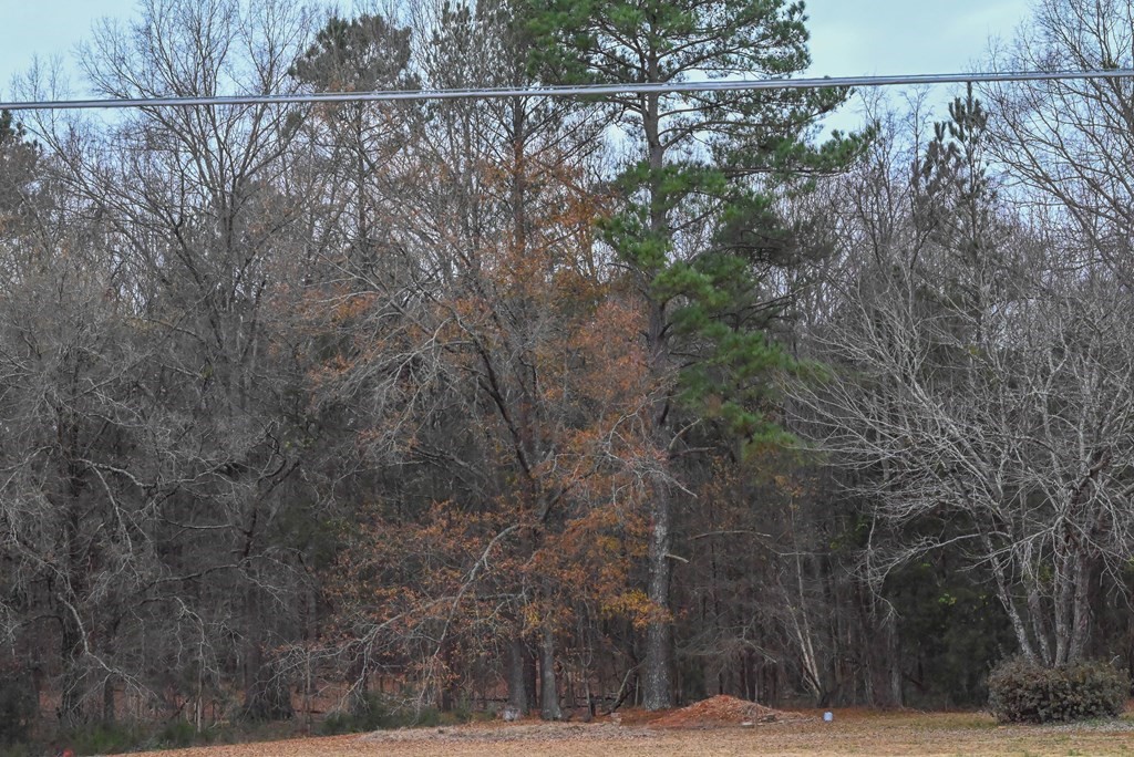 00 W Deadfall Road