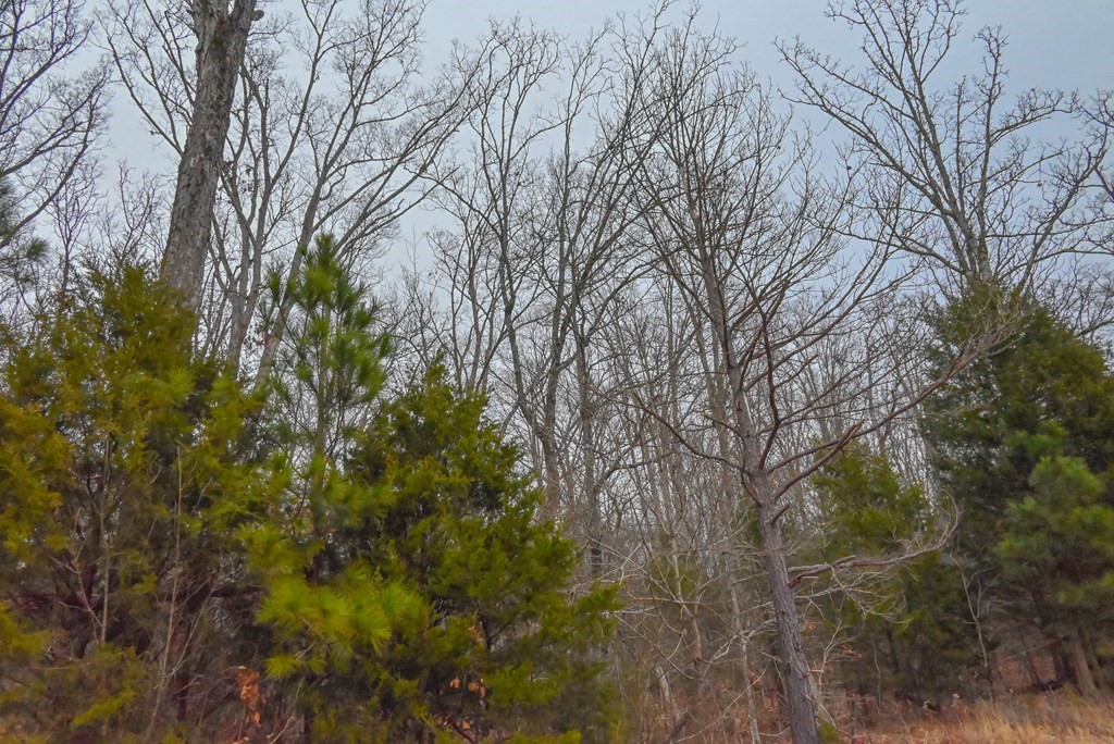 00 W Deadfall Road