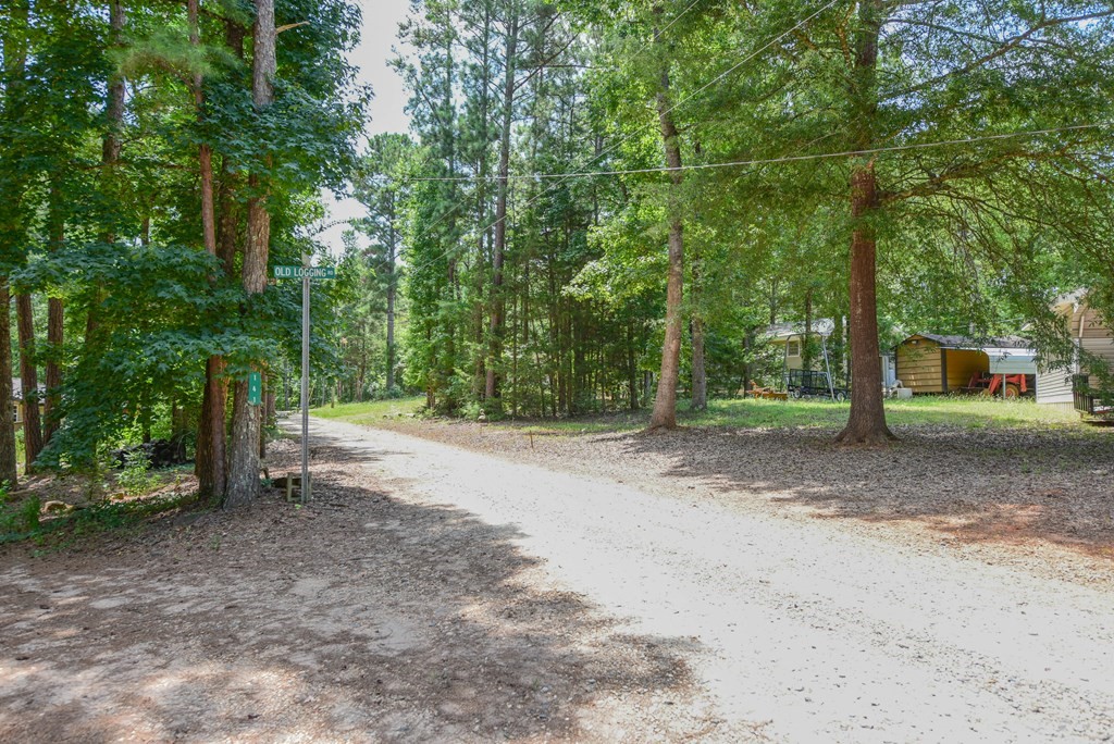 216 Chigger Ridge Road