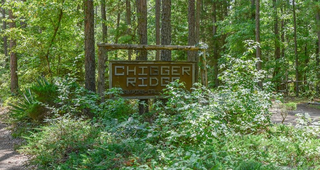 216 Chigger Ridge Road