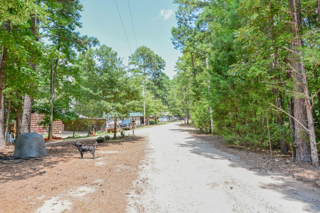 216 Chigger Ridge Road