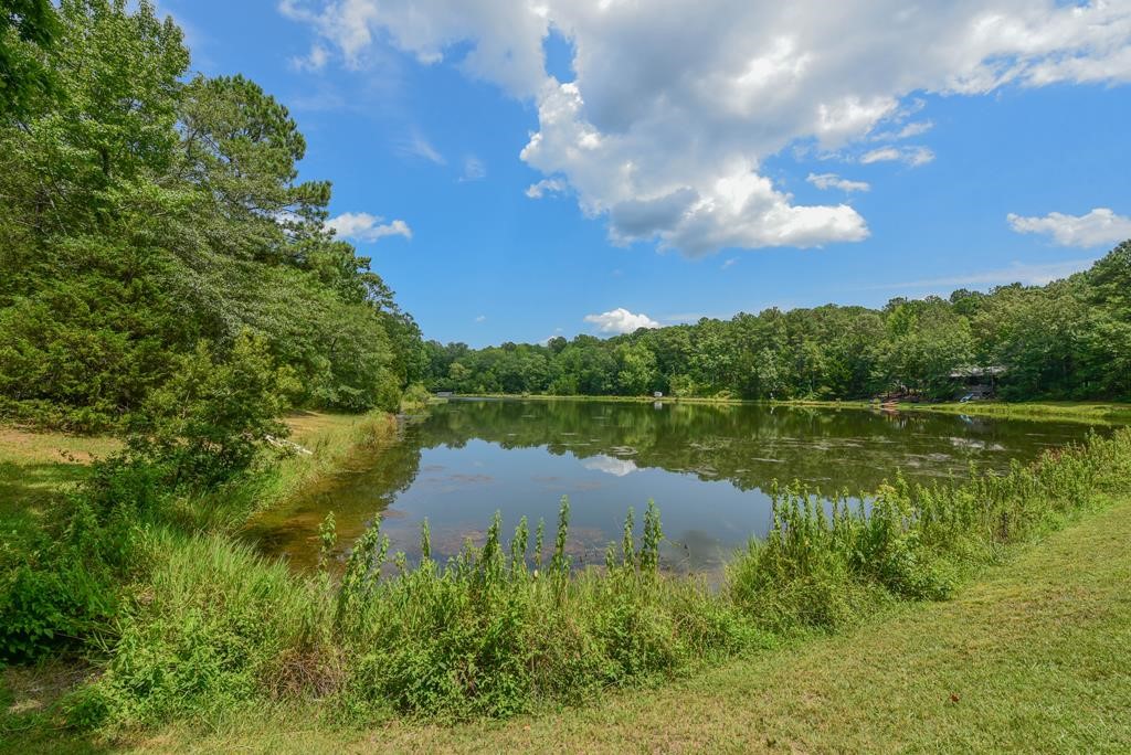 216 Chigger Ridge Road