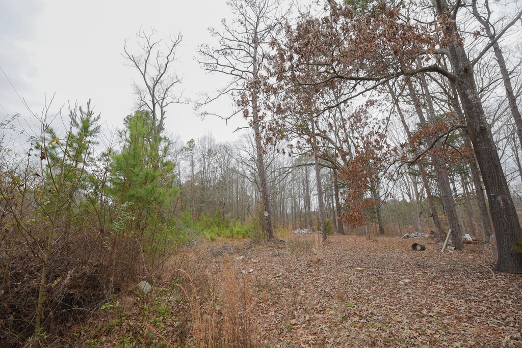 1233 Cambridge Ext Street