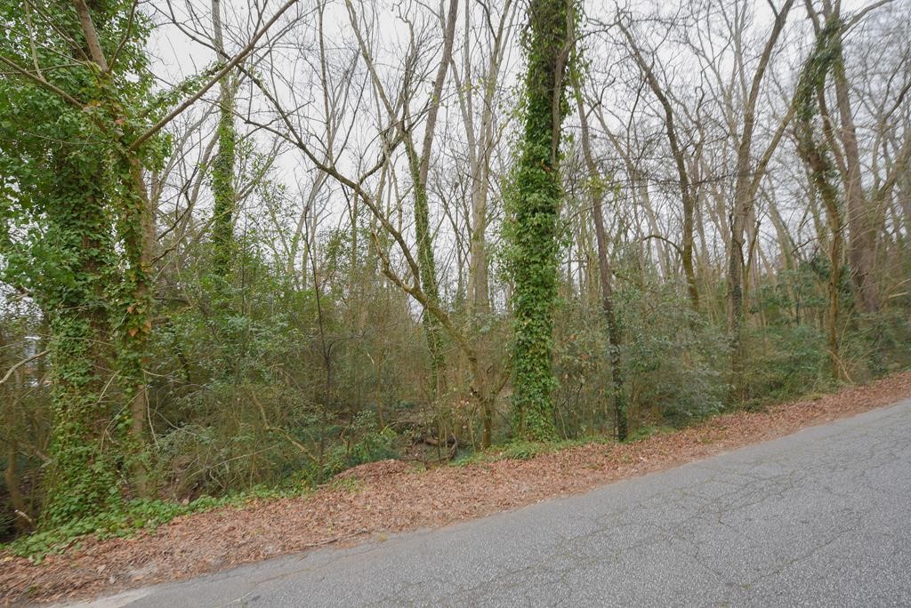 204 E Pinckney Street