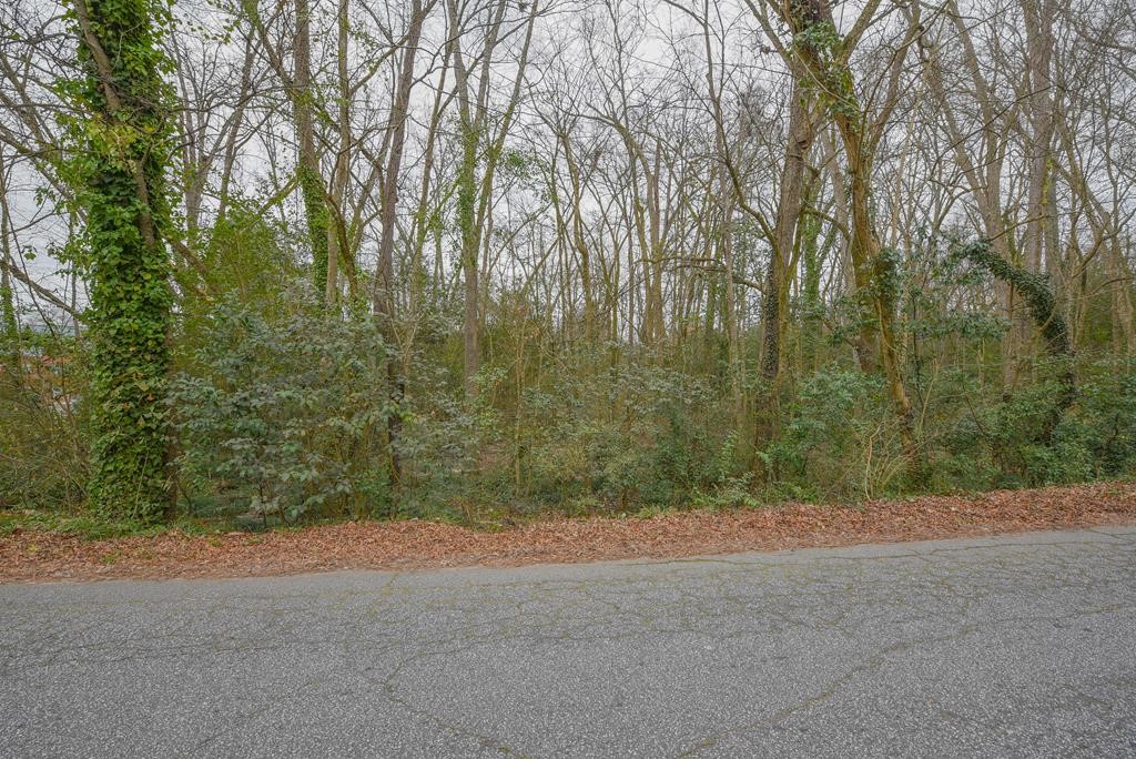 204 E Pinckney Street