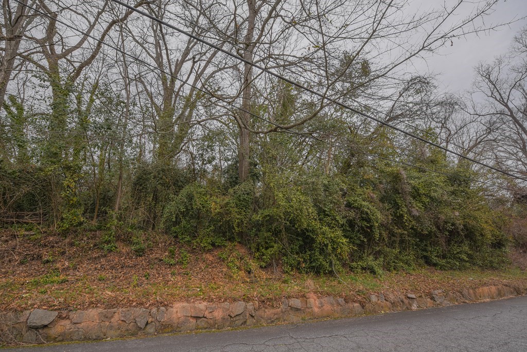 204 E Pinckney Street