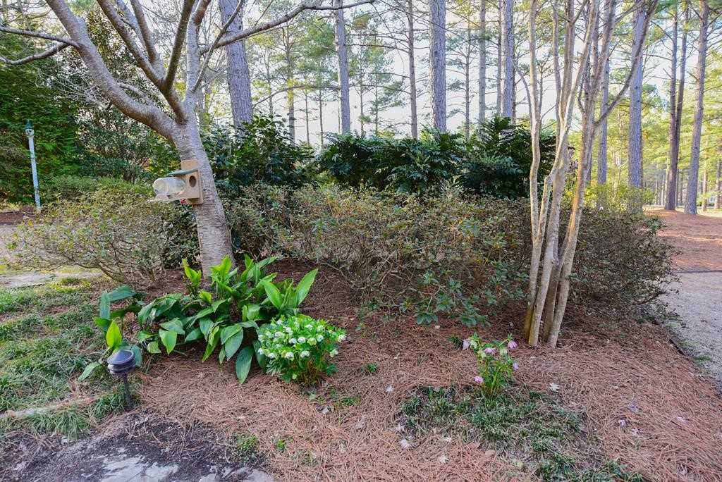 1008 HuntersCreek Boulevard